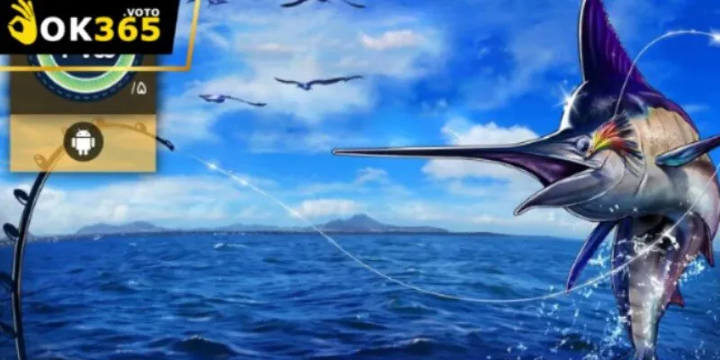 Từng bước chinh phục Câu Cá Ace dễ dàng cho người mới