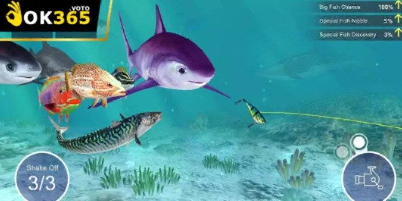 Chơi Câu Cá Phát Tài - Thao tác nhanh và chính xác